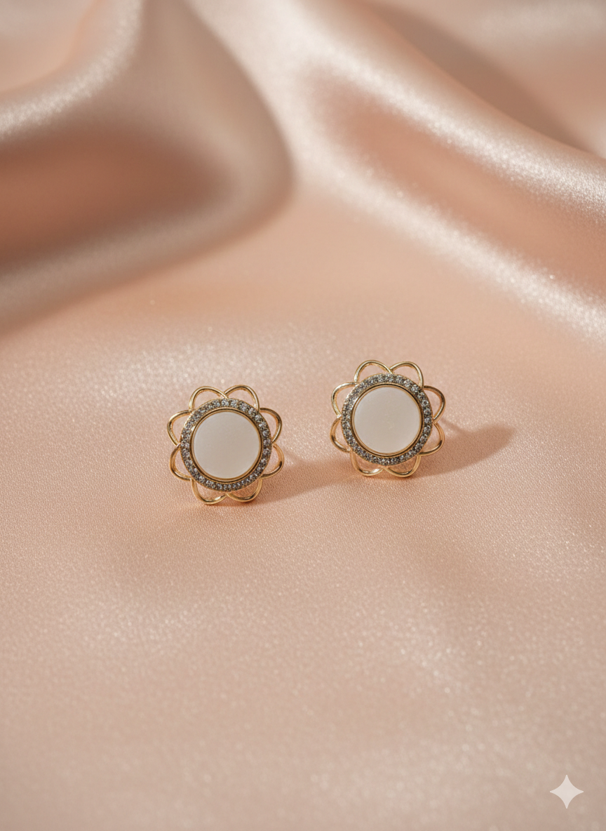 Premium designs earnings