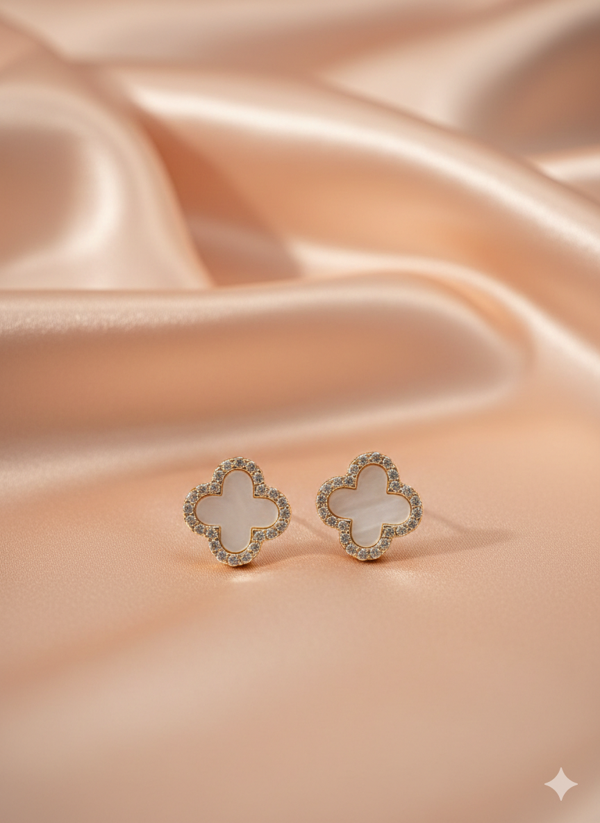 Premium designs earnings