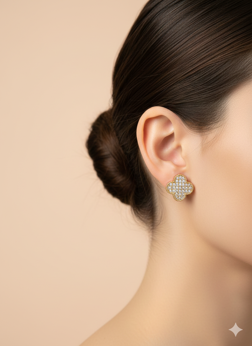 Premium designs earnings