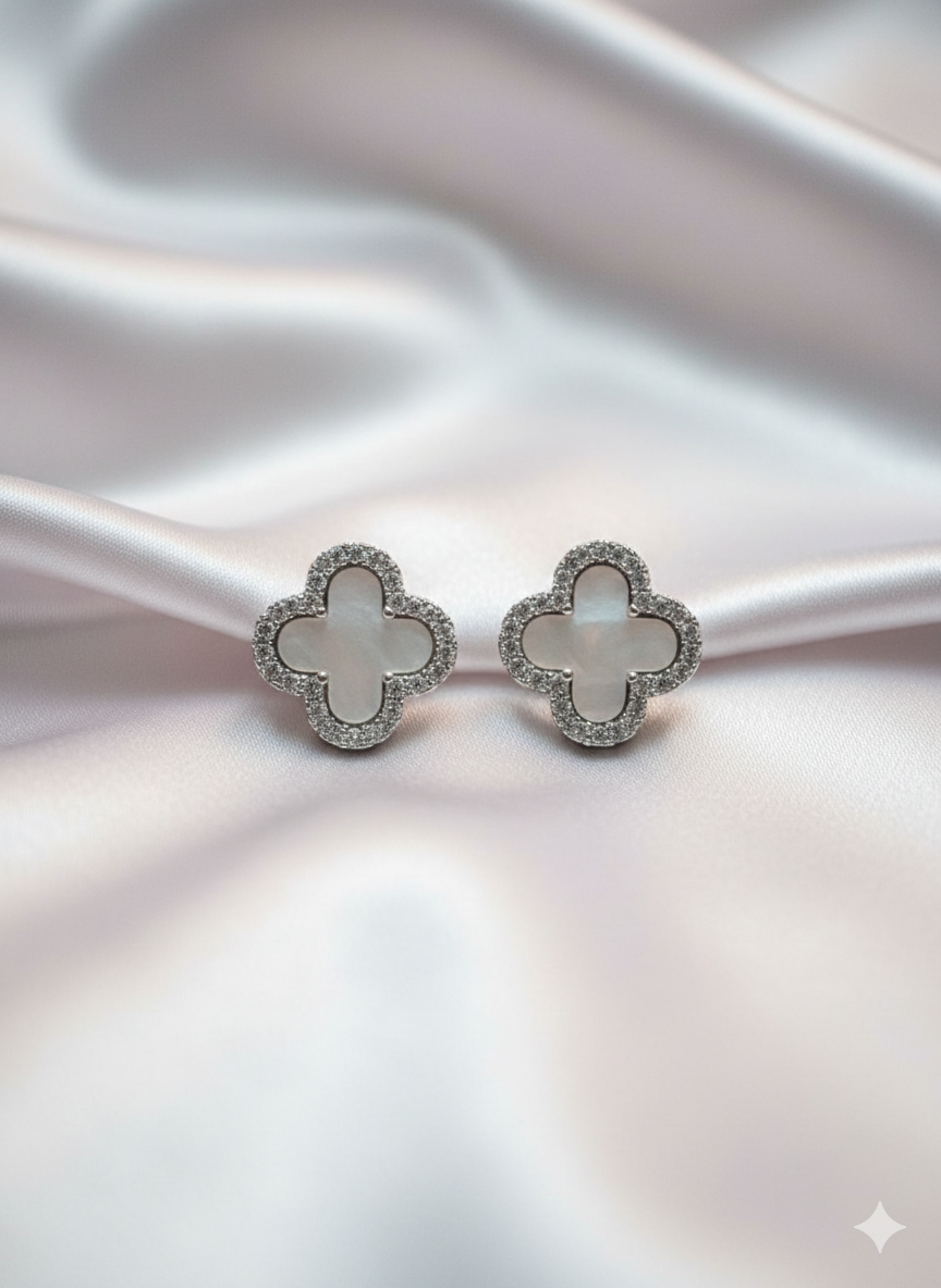 Premium designs earnings